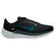 Nike Air Winflo 10
